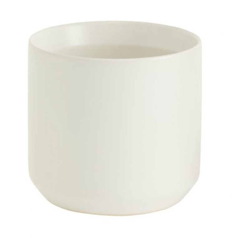 Kendall Collection - The Plant Lady SF