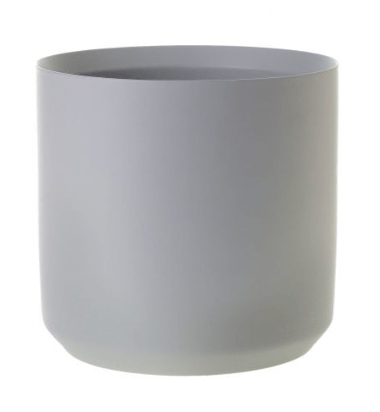 Kendall Collection - The Plant Lady SF