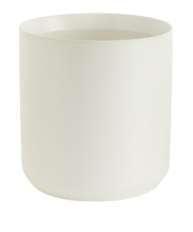 Kendall Collection - The Plant Lady SF