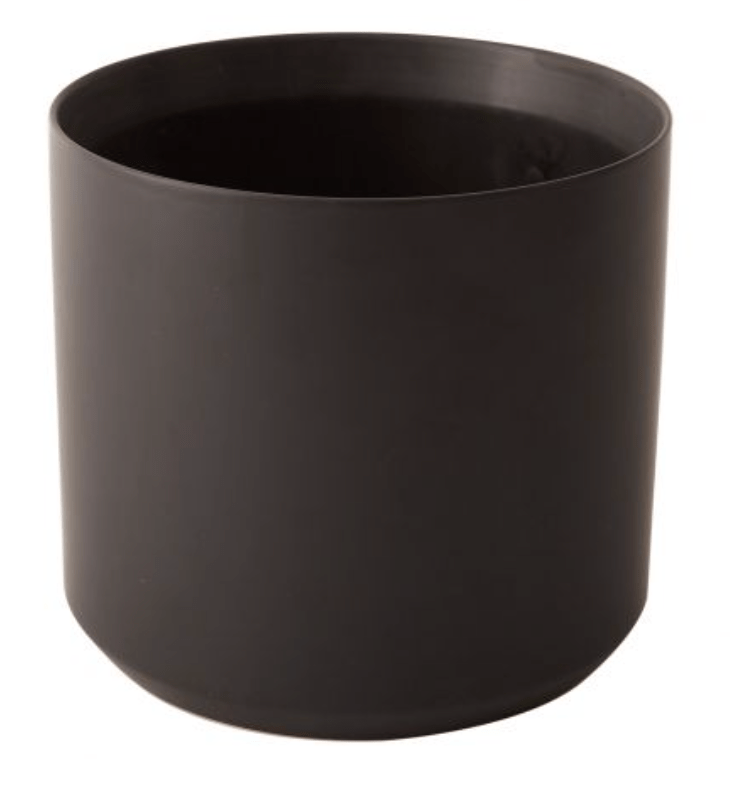 Kendall Collection - The Plant Lady SF