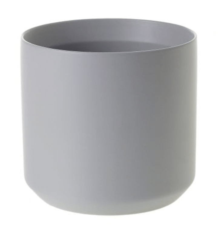 Kendall Collection - The Plant Lady SF