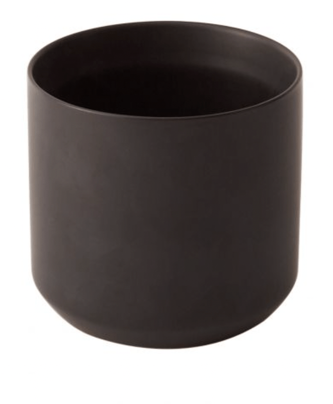 Kendall Collection - The Plant Lady SF