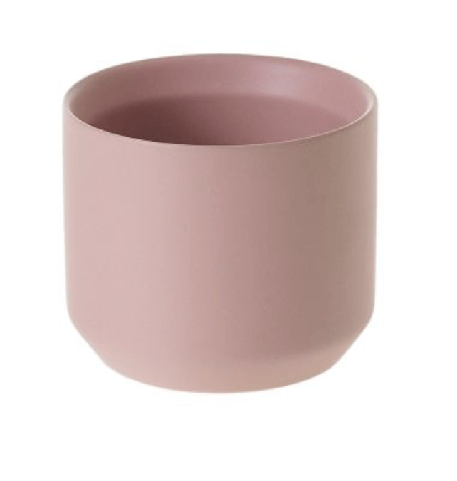 Kendall Collection - The Plant Lady SF