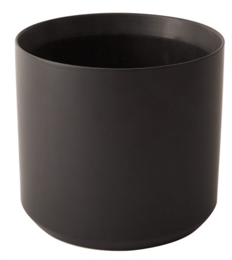 Kendall Collection - The Plant Lady SF