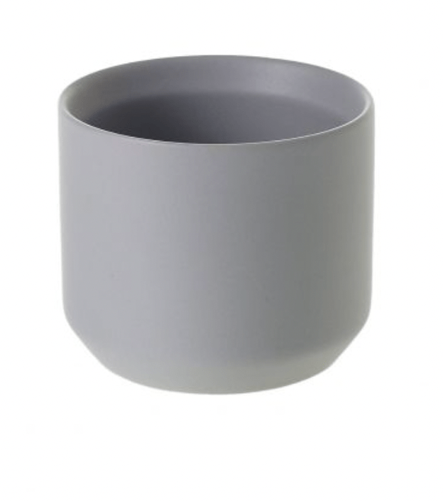 Kendall Collection - The Plant Lady SF