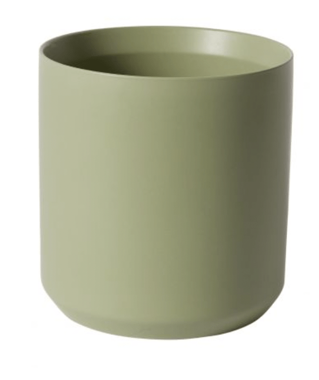 Kendall Collection - The Plant Lady SF