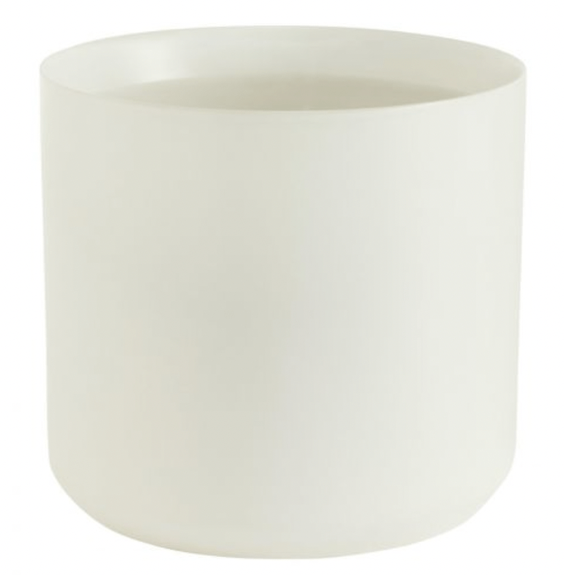 Kendall Collection - The Plant Lady SF