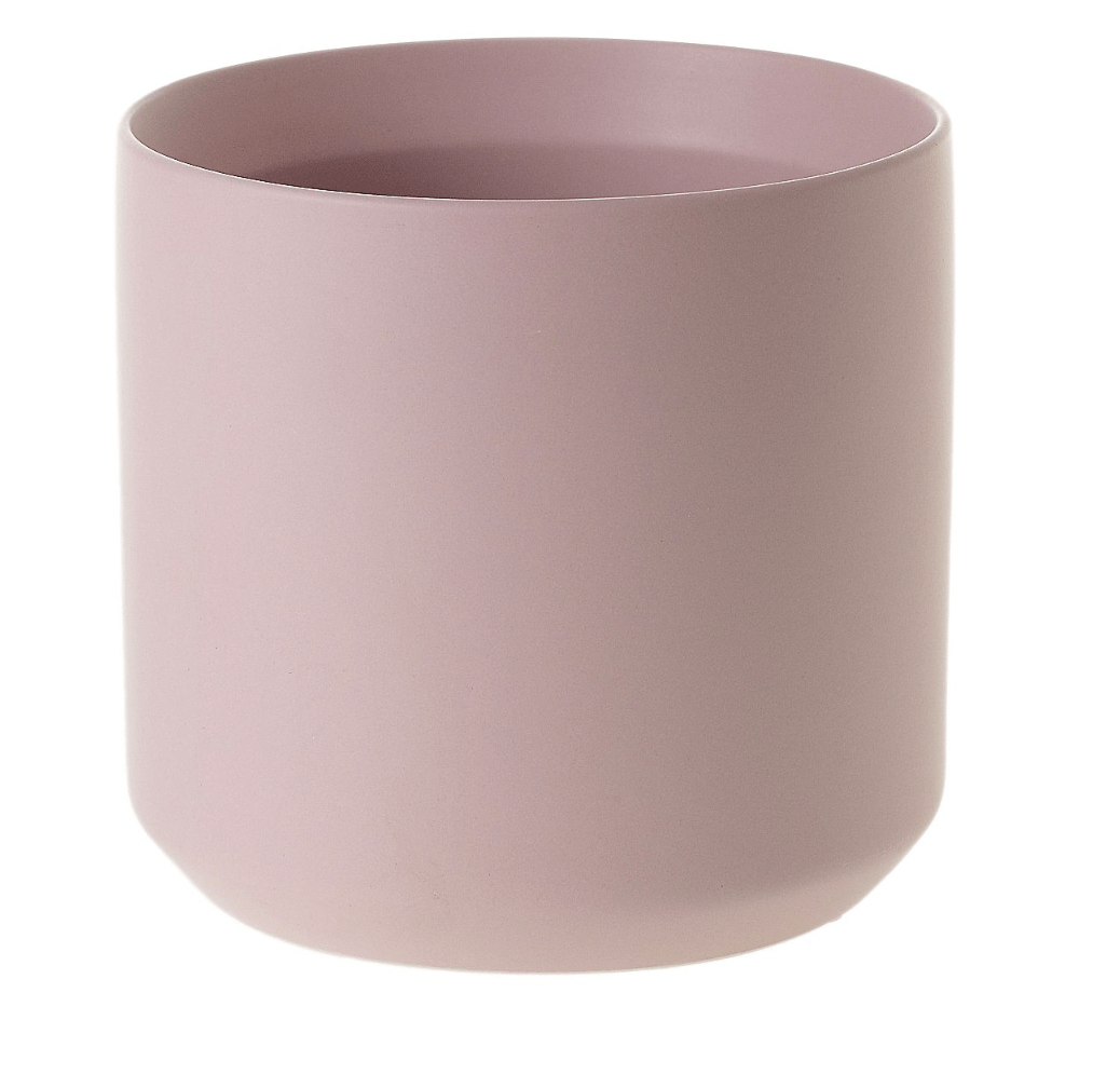 Kendall Collection - The Plant Lady SF