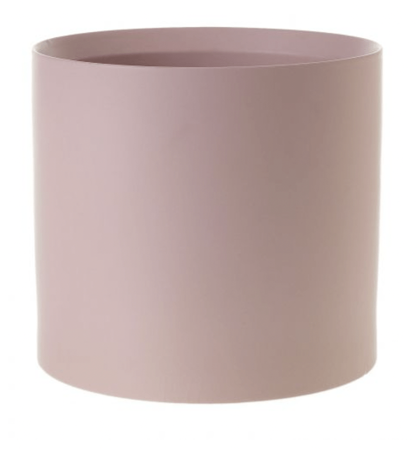 Kendall Collection - The Plant Lady SF