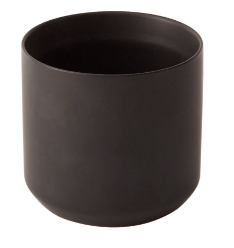 Kendall Collection - The Plant Lady SF