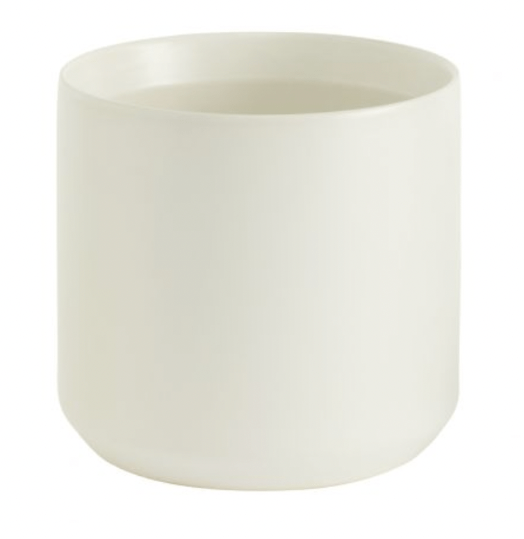 Kendall Collection - The Plant Lady SF