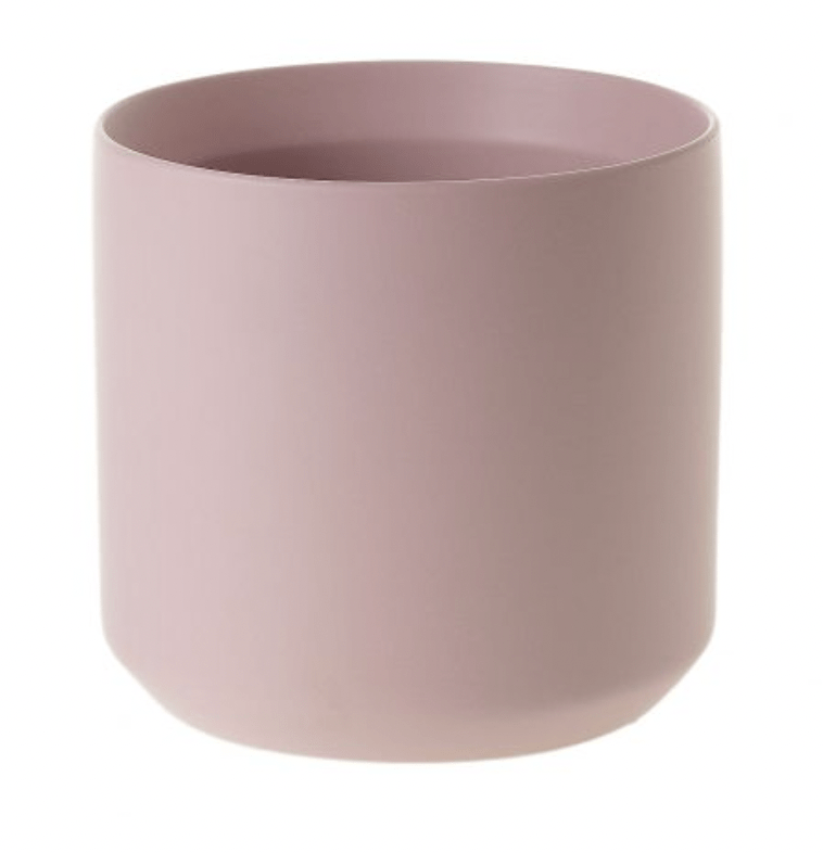 Kendall Collection - The Plant Lady SF