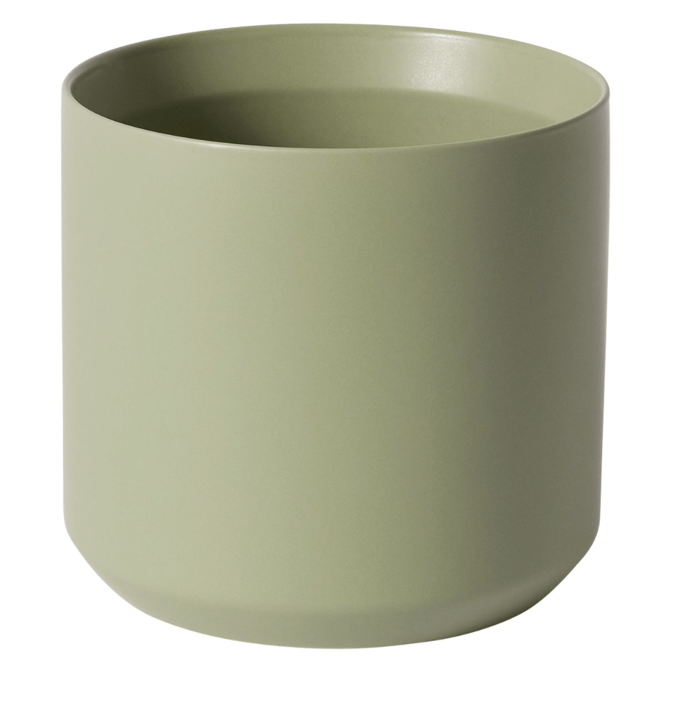 Kendall Collection - The Plant Lady SF