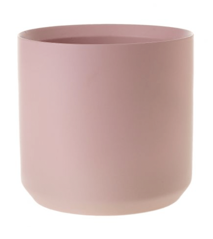 Kendall Collection - The Plant Lady SF