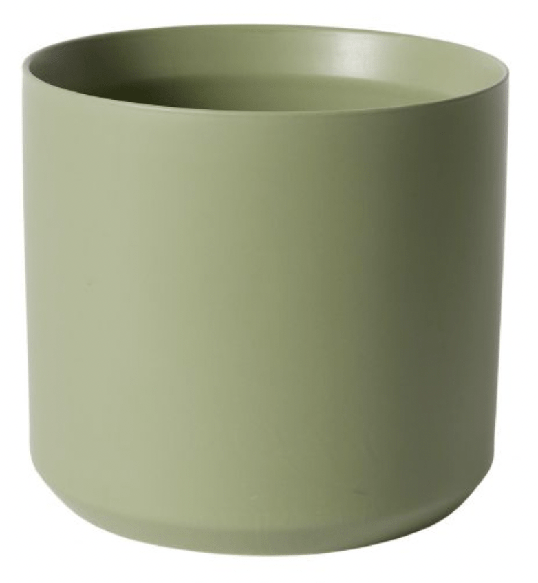 Kendall Collection - The Plant Lady SF