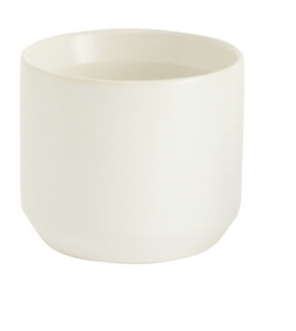 Kendall Collection - The Plant Lady SF