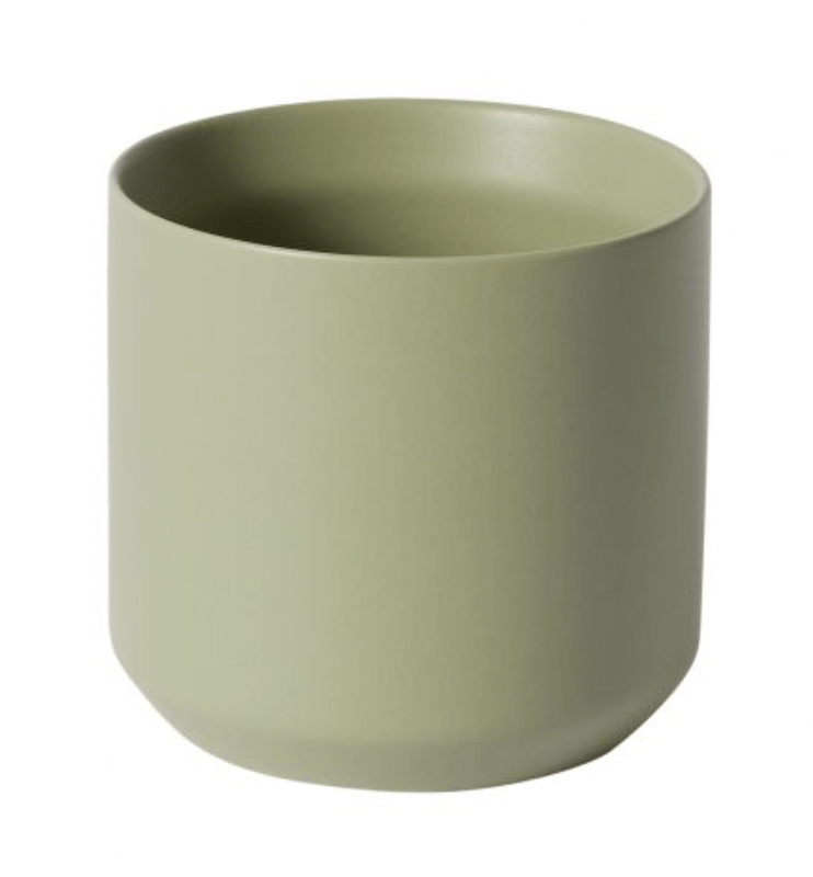 Kendall Collection - The Plant Lady SF