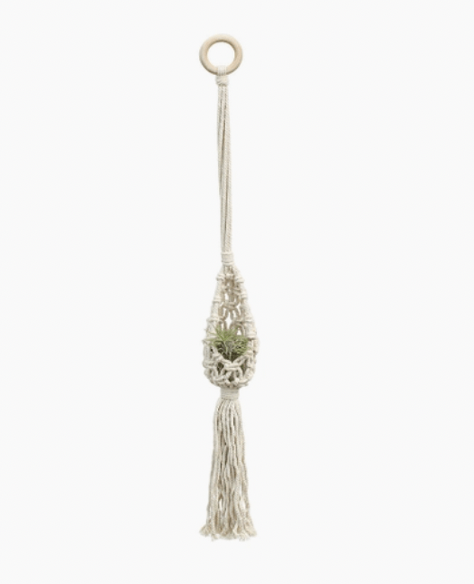 Macrame Hangers from Soul of the Party - The Plant Lady SF