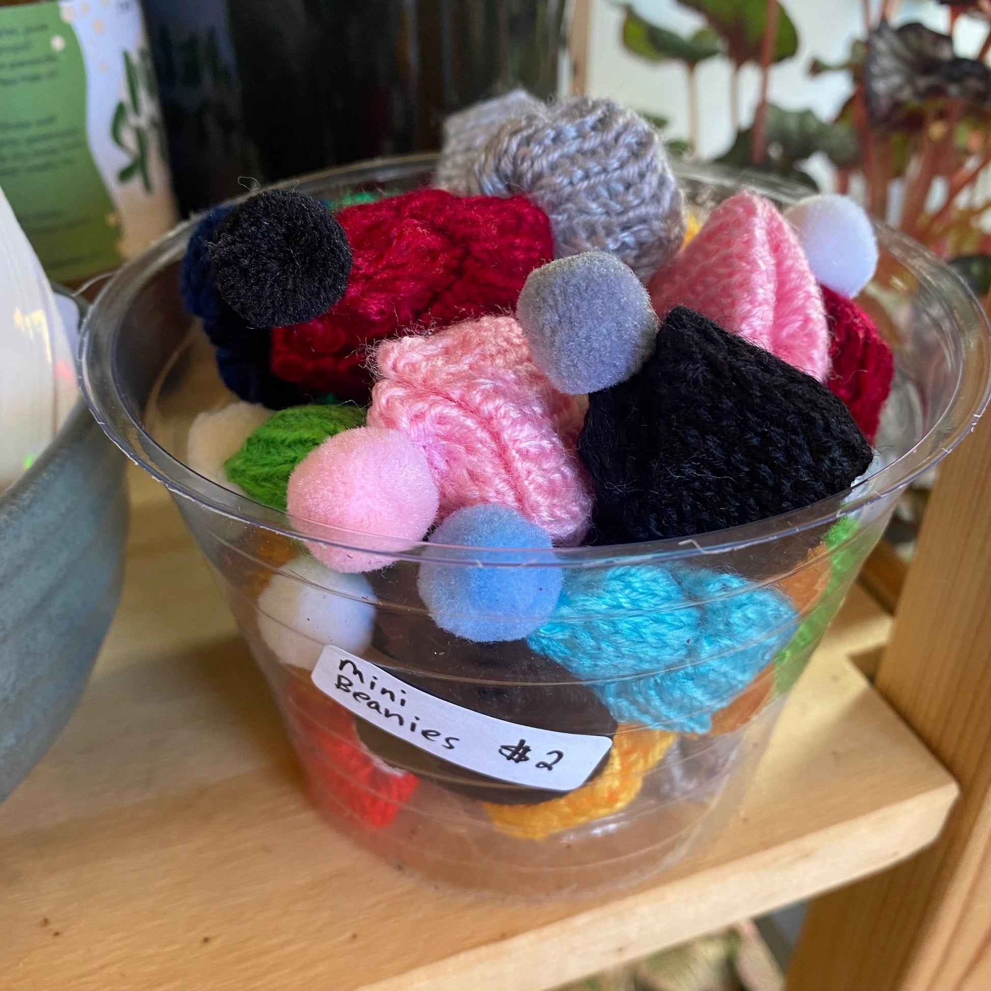 Miniature Plant Beanies - The Plant Lady SF