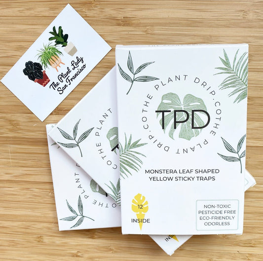 Monstera Sticky Traps by ThePlantDrip.co - The Plant Lady SF