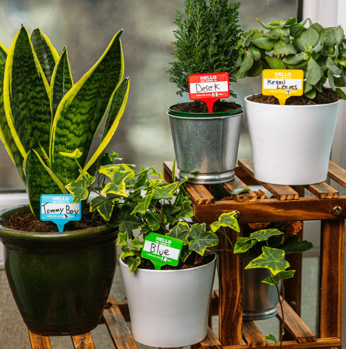 plant pot name tags Plant Name Tags