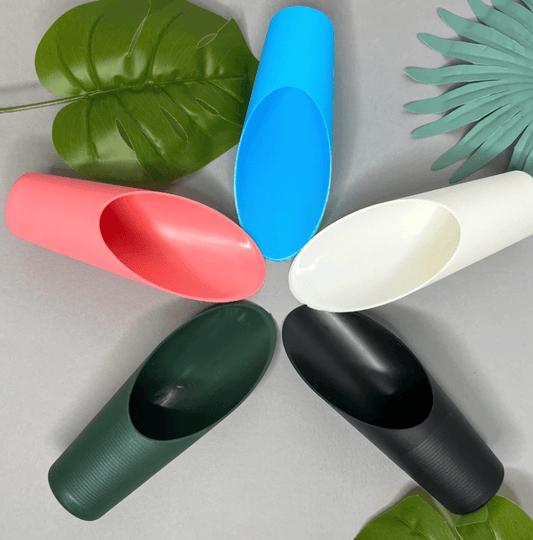 Plant Scoop - The Plant Lady SF