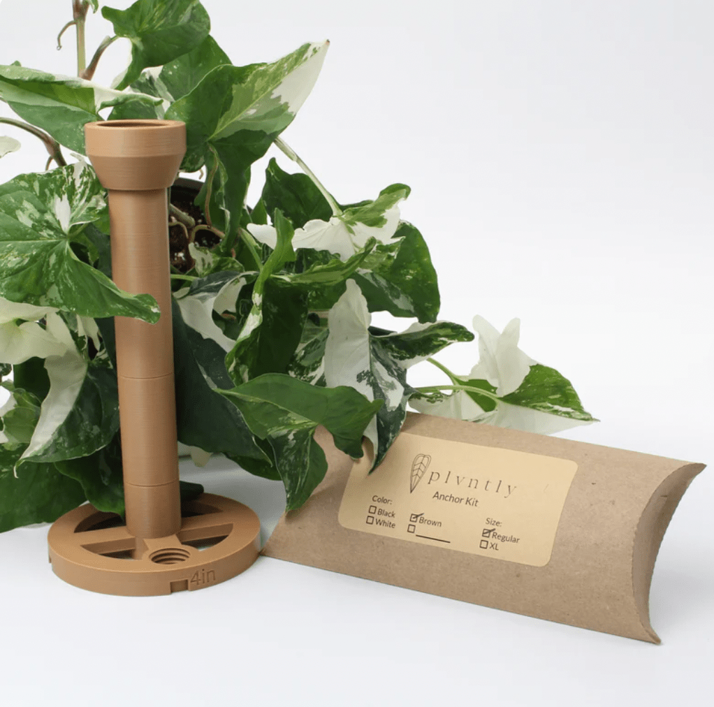 Plvntly Anchor Base Kits - The Plant Lady SF