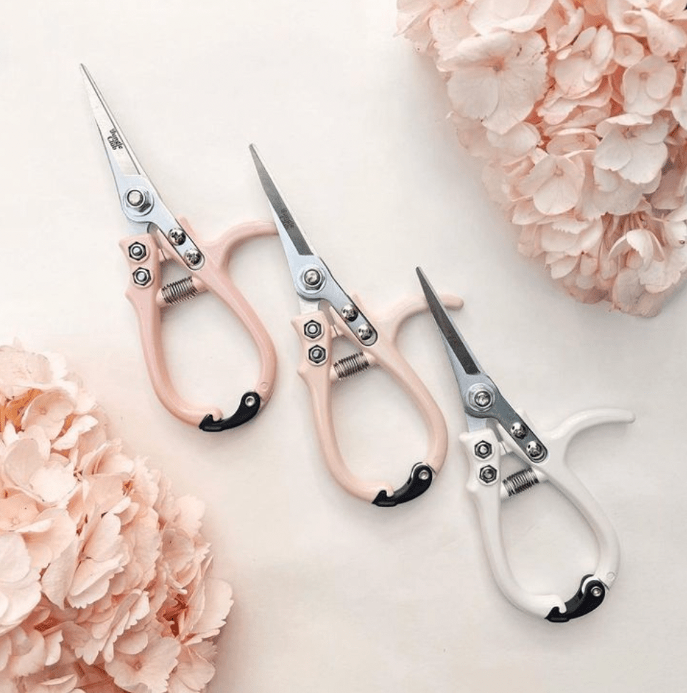 Pruning Shears - The Plant Lady SF