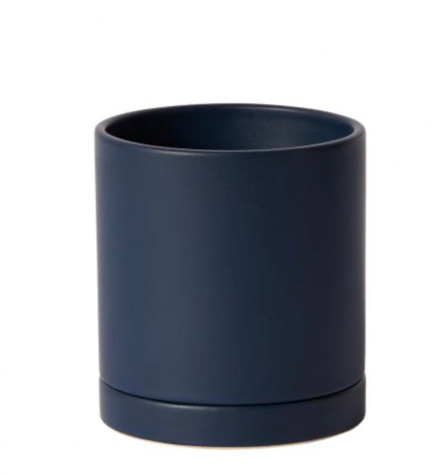 Romey Pot - The Plant Lady SF