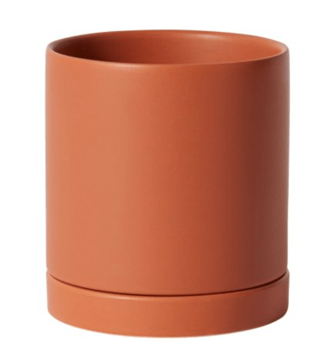 Romey Pot - The Plant Lady SF