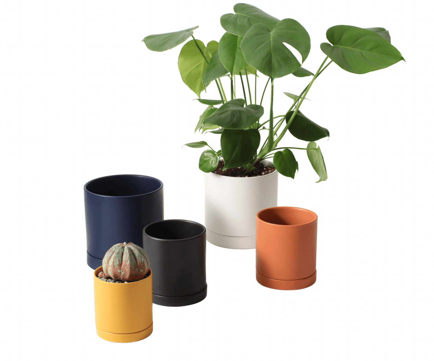 Romey Pot - The Plant Lady SF