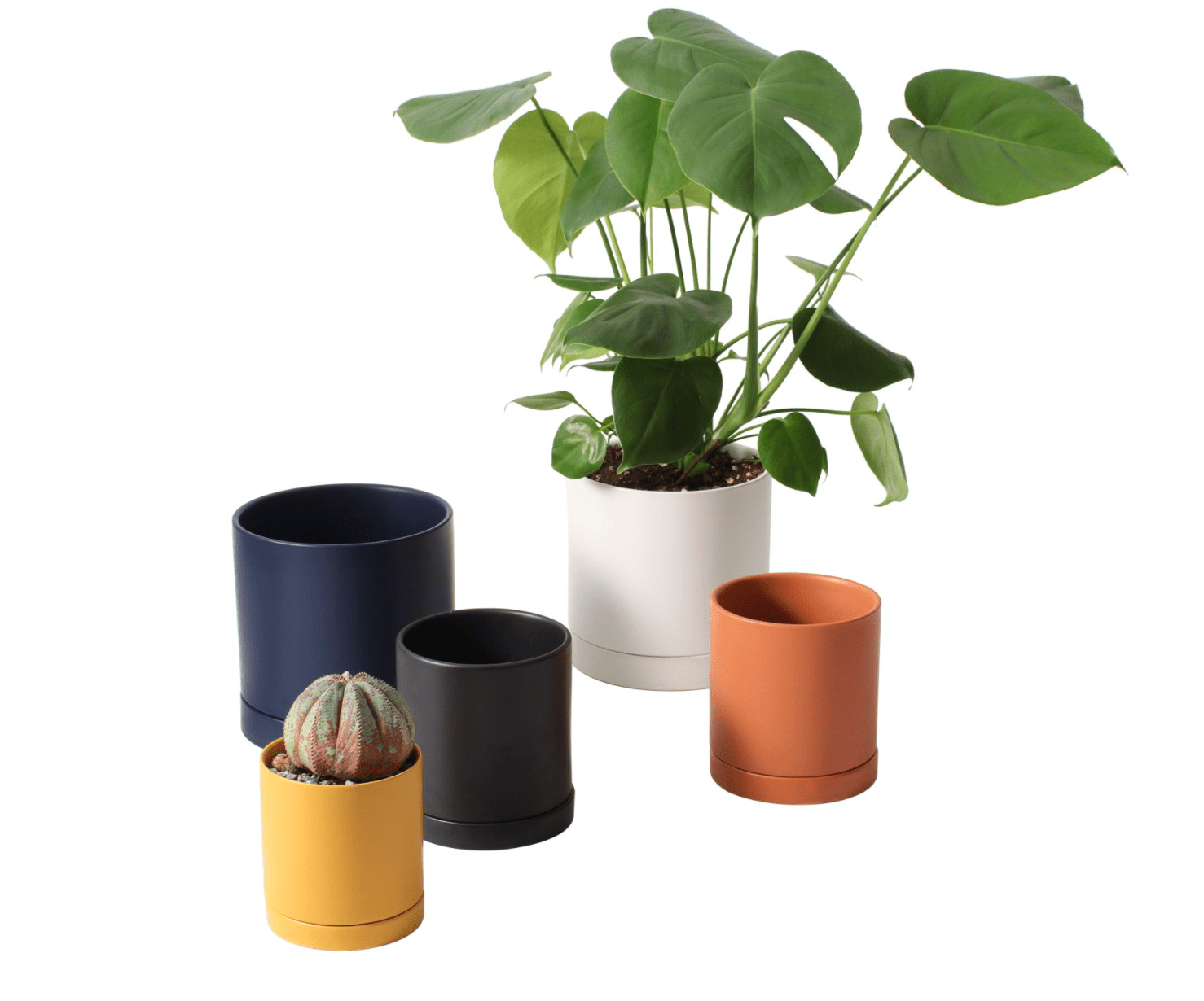 Romey Pot - The Plant Lady SF