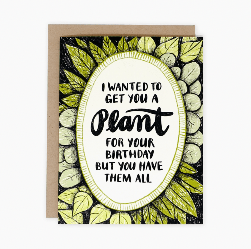 Wit + Whistle Greeting Cards - The Plant Lady SF