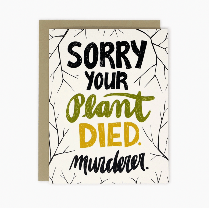 Wit + Whistle Greeting Cards - The Plant Lady SF